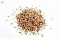 Cumin Seeds