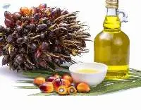 Palm Oil