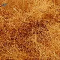 Coconut Fiber