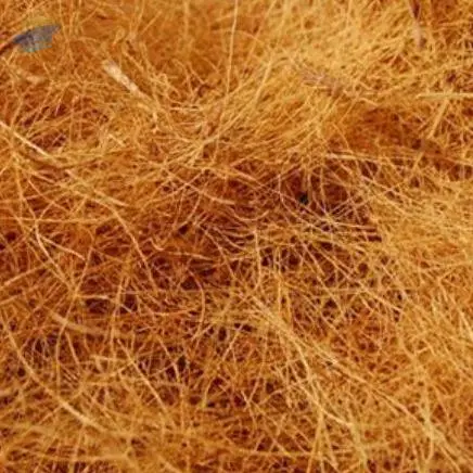 Coconut Fiber
