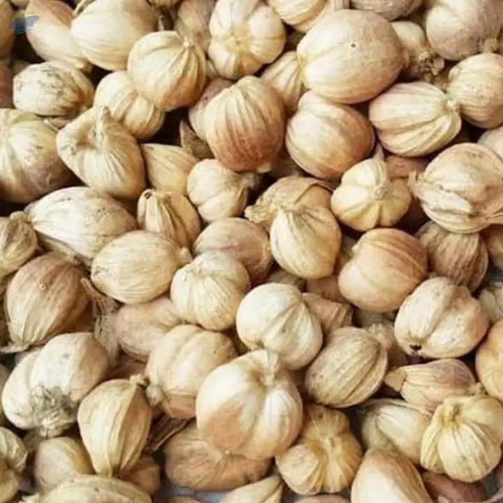 Cardamom