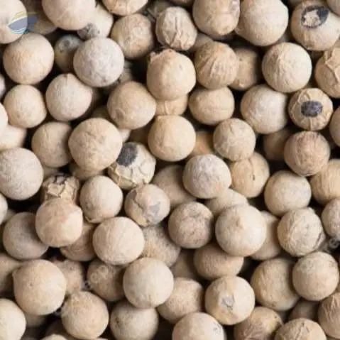 White Pepper