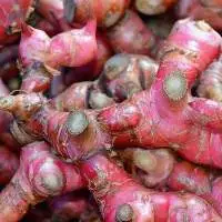 Red Ginger