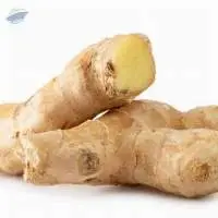 Ginger