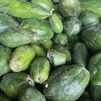 Papaya