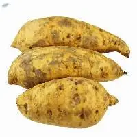 Sweet Potato
