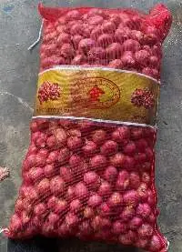 Shallot