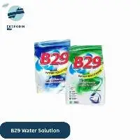B29 Water Solution