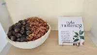 Nutmeg