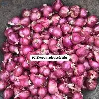 Shallot/Onion