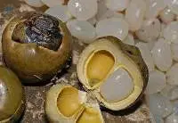 Sugar Palm Fruit