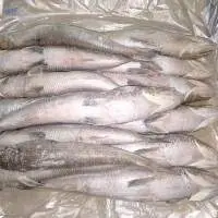Frozen Lizard Fish