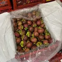 Mangosteen
