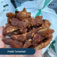 Fresh Tamarind