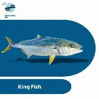 King Fish