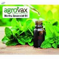 Mentha Spearmint Oil