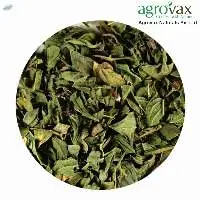 Dry Mentha Piperita Leaves
