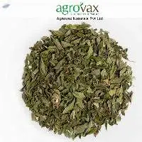 Dry Mentha Spearmint Leaves