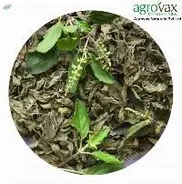 Krishna Tulsi Leaves