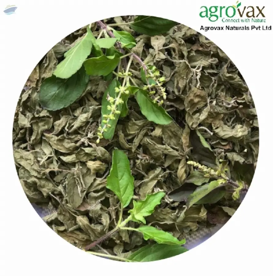 Krishna Tulsi Leaves