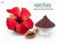 Organic Hibiscus Flower Powder
