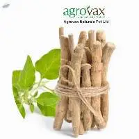 Dry Ashwagandha Root