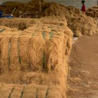 Coco Fiber