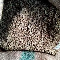 Robusta Green Bean