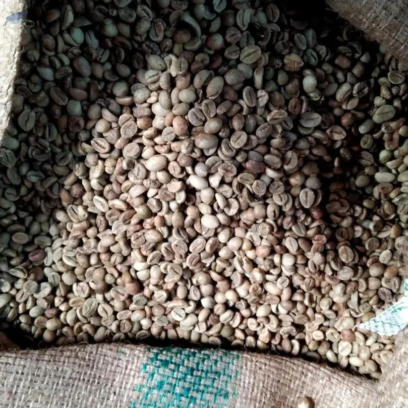 Robusta Green Bean