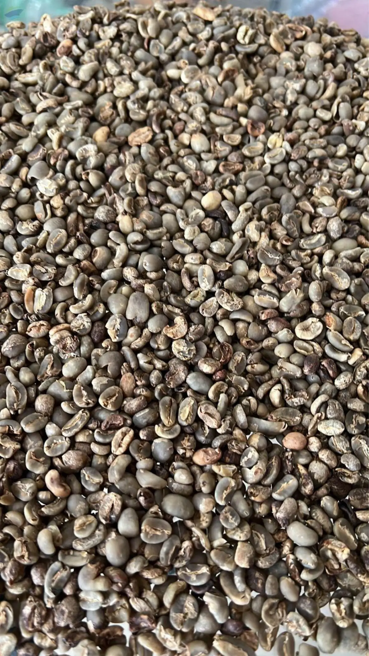 Indonesia Arabica Stocklot Grade Coffee