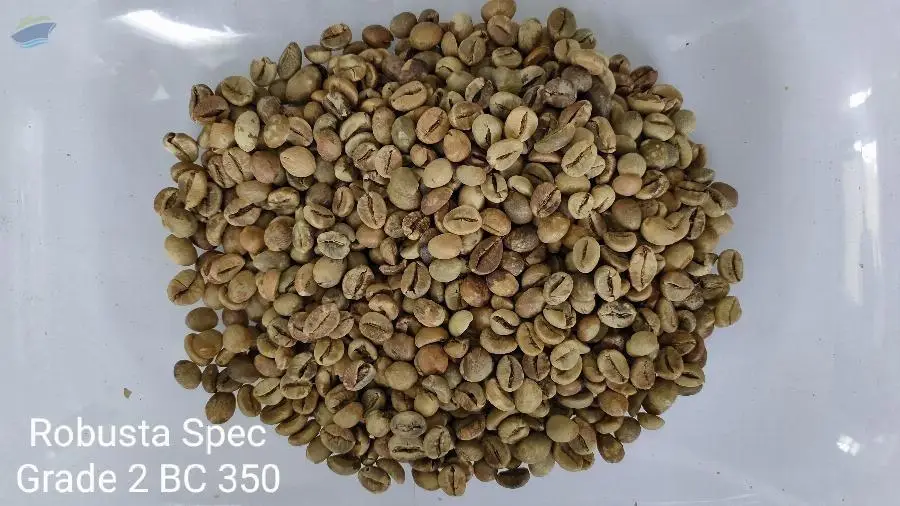 Indonesia Robusta Grade 2 BC 350