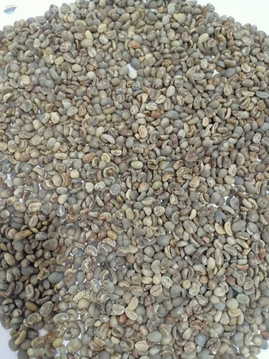 Indonesia Arabica Mandheling Grade 2