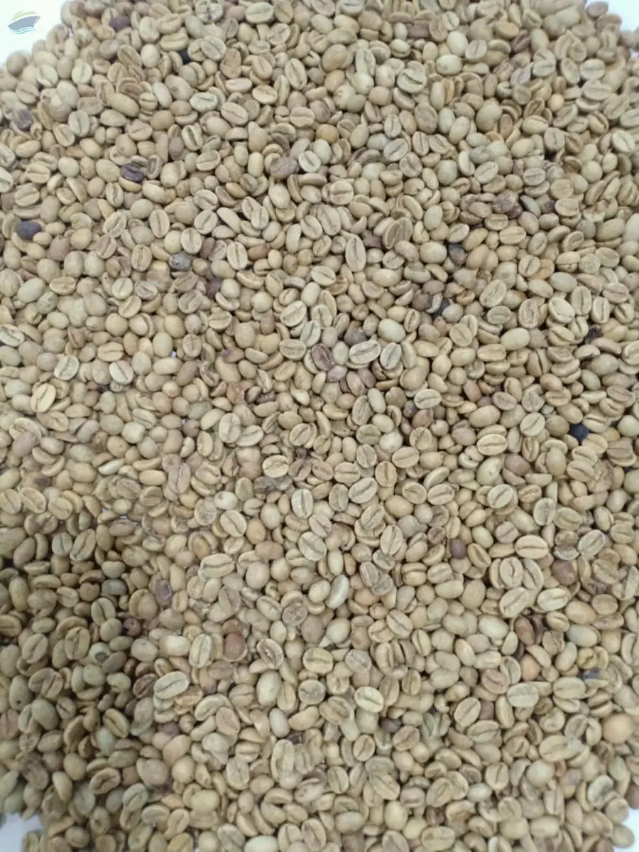 Indonesia Arabica Sumatera DP (Double Pick) 1