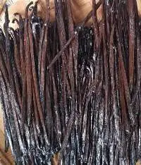 Indonesia Vanilla Bean/pod Planifolia All Grade