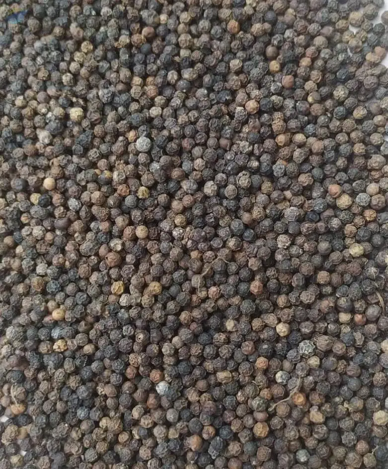 Black Pepper Jumbo Size