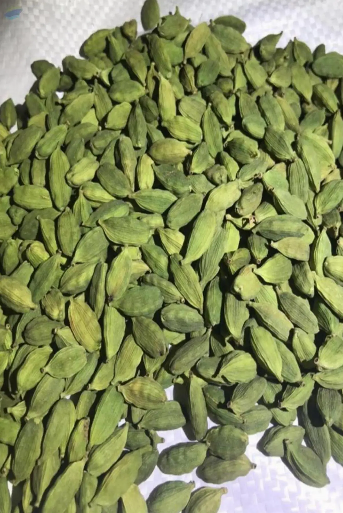 Green Cardamom