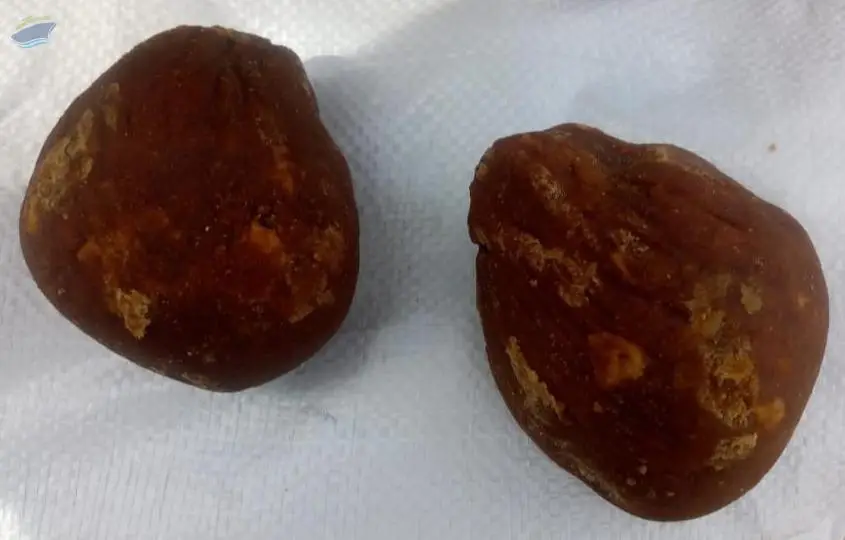 Sugarcane Jaggery Solid