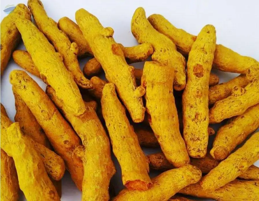 Turmeric Finger Dried