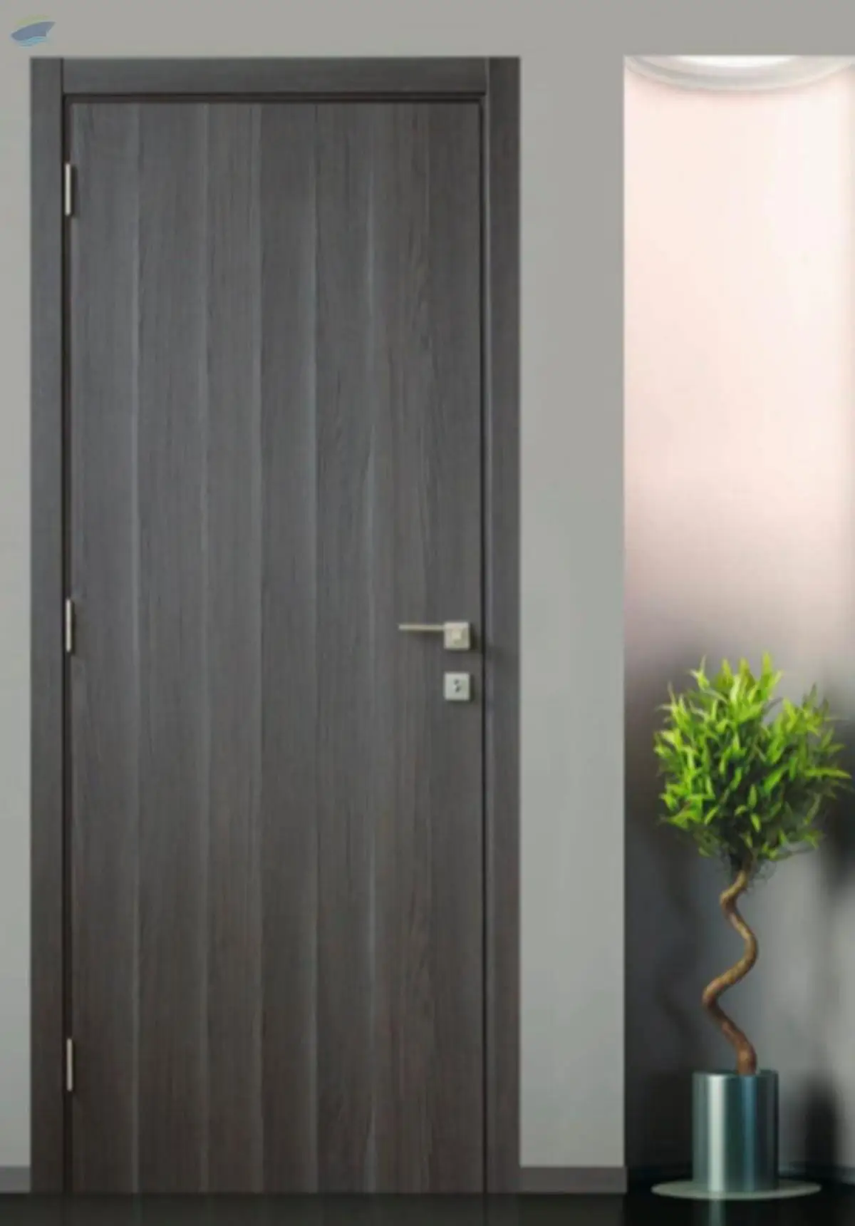 Amazon Door Swing and Sliding Door