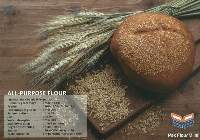 All Purpose Flour