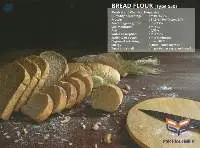 Bread Flour