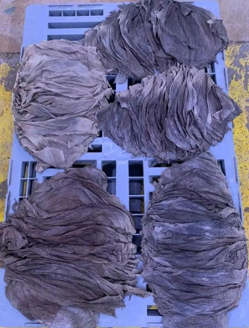 Dry Salted Omasum