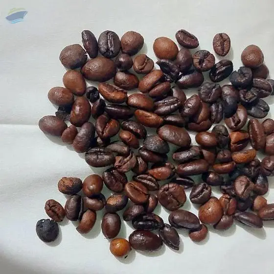 Robusta Muting Or Muting Coffee
