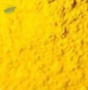 Direct Yellow 44