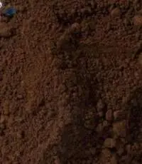 Acid Brown 83