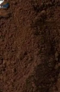 Acid Brown 106