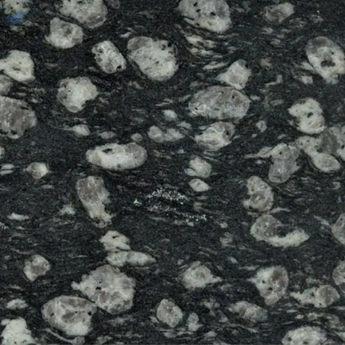 Coin Black Granite