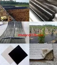 PE Film, EVA Geomembrane