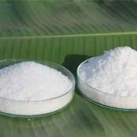 Stearic Acid