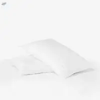 Luxurious 2 Piece Microfiber Pillow